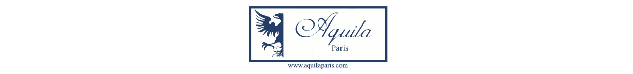 AQUILA logo