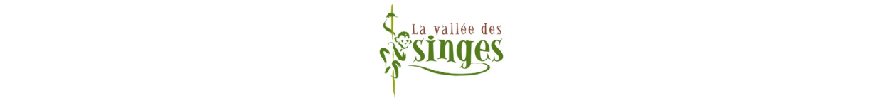 LA VALLÉE DES SINGES logo