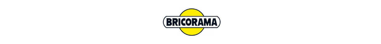 BRICORAMA logo