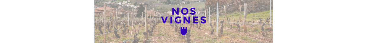 NOS VIGNES logo